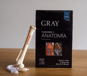 GRAY FLASHCARDS DE ANATOMIA