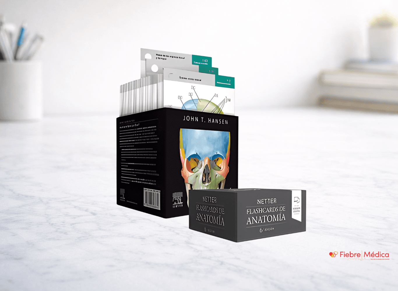 NETTER FLASHCARDS DE ANATOMIA EDICION 6