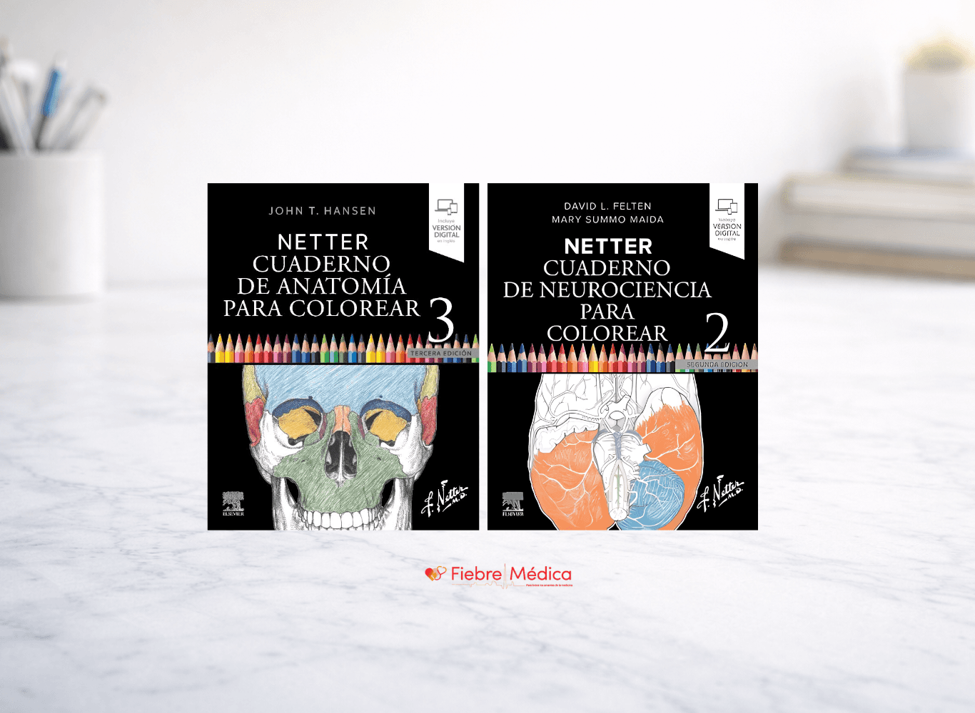Combo Anatomía + Neuro para Colorear