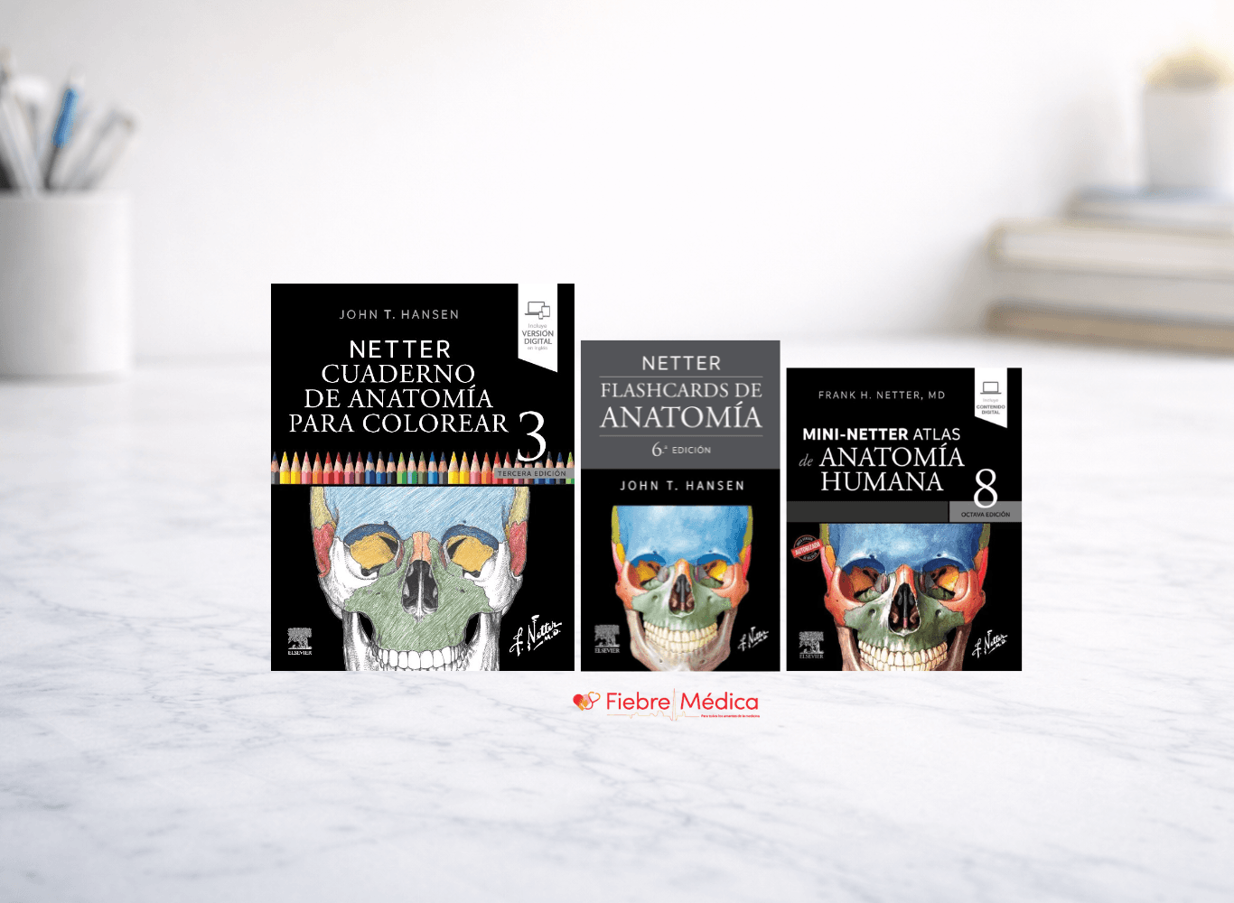 Combo Fan Mini Netter: Atlas, Flashcards y Cuaderno de Anatomía